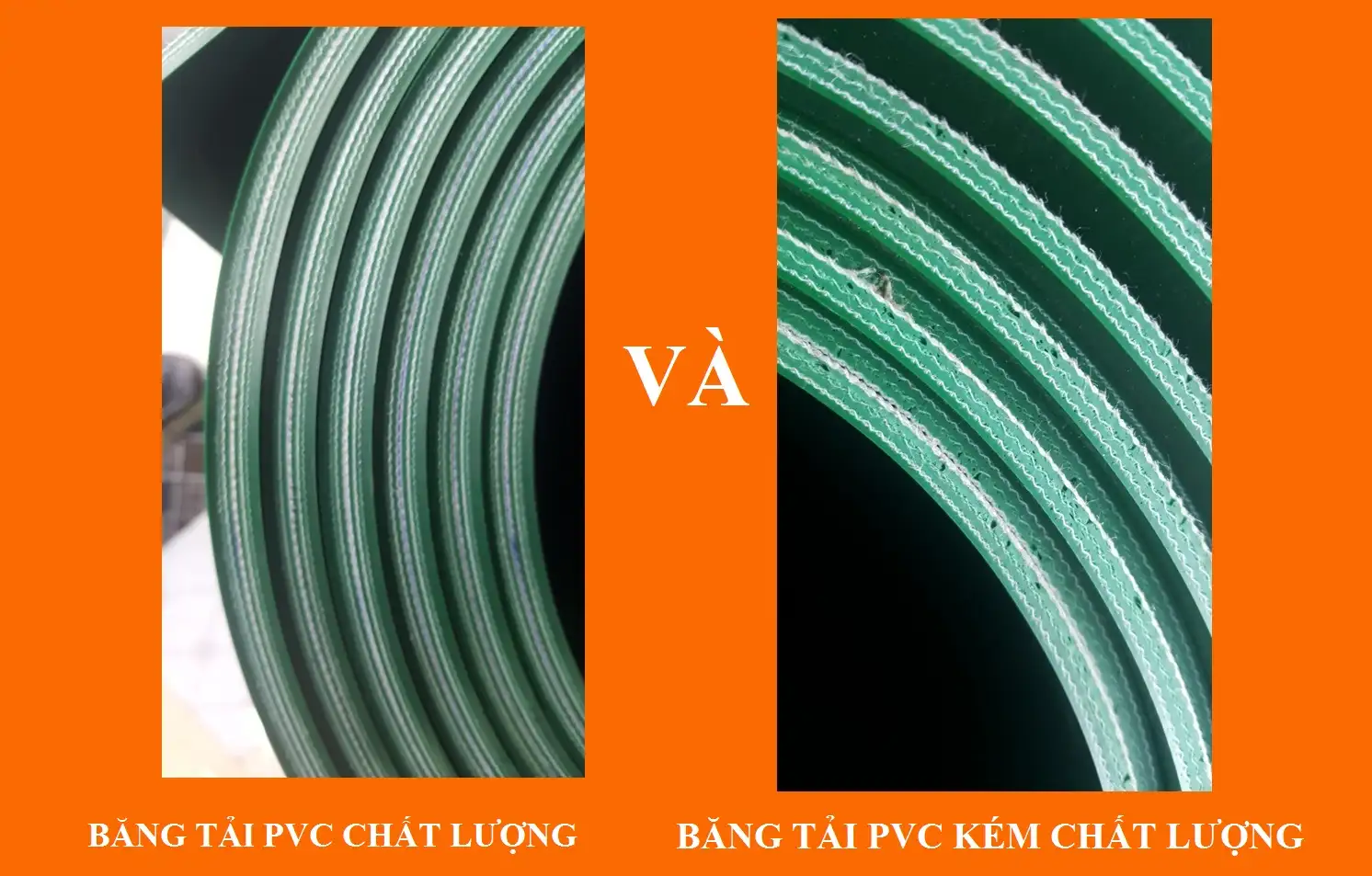 So Sánh Băng tải PVC Chất Lượng Tốt Và Băng Tải Kém Chất Lượng